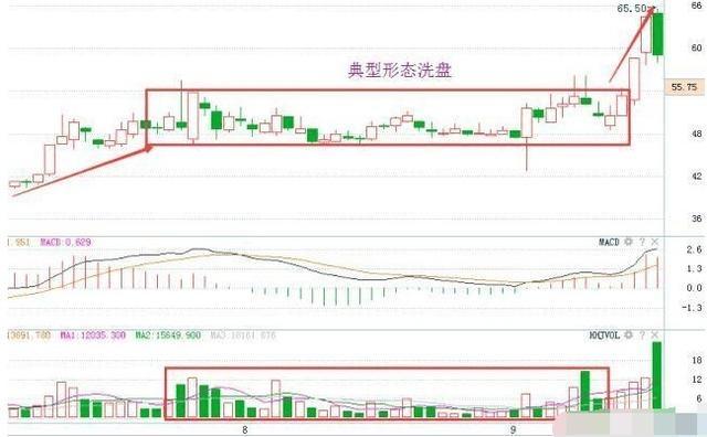 2024澳门四不像解析图详解趋势揭秘技巧_最新指南完整版