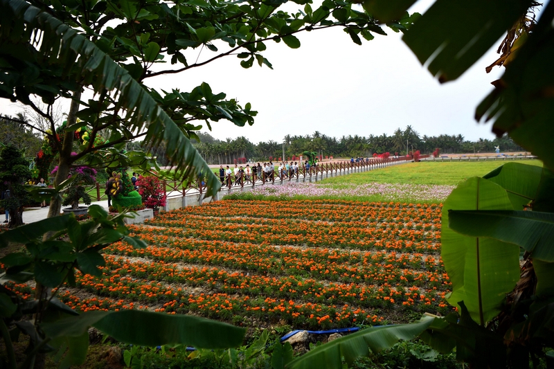 草榴2018最新地址