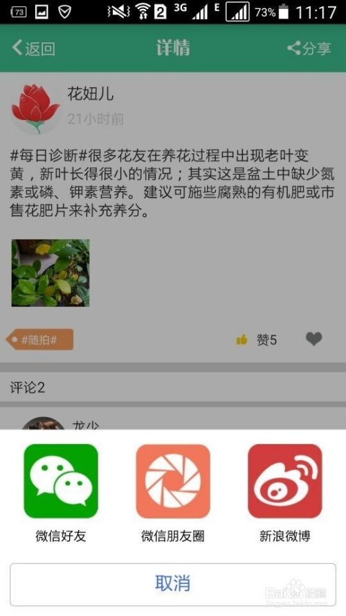 花开app最新版下载