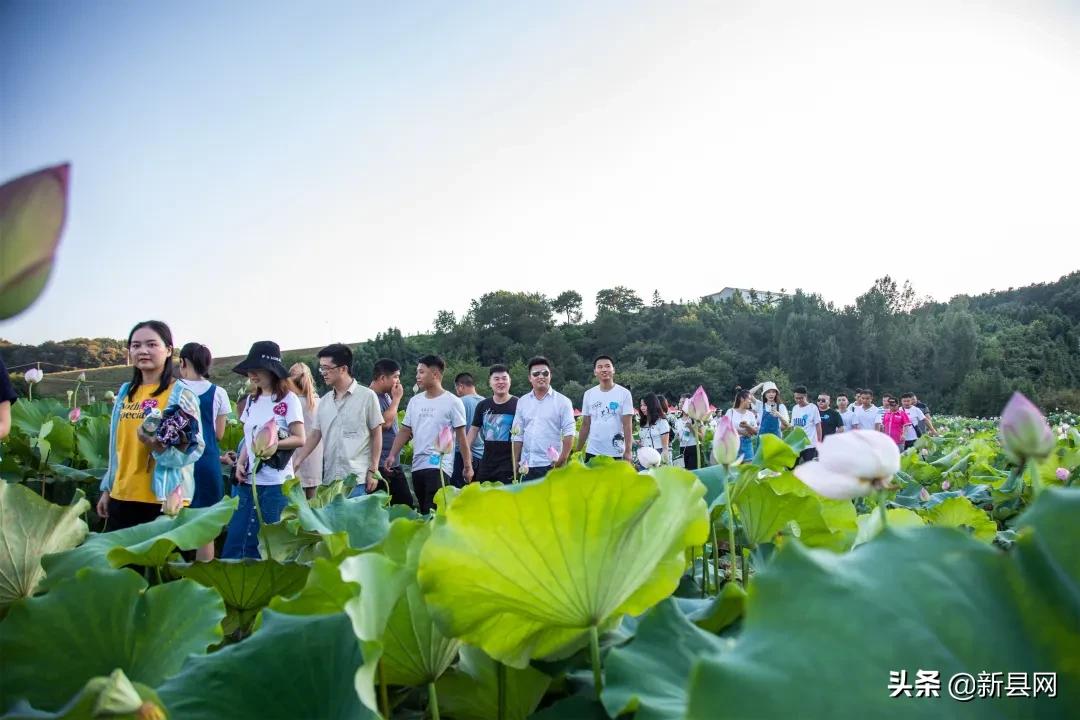 新县吧最新事件