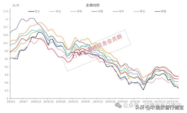 最新猪价交流