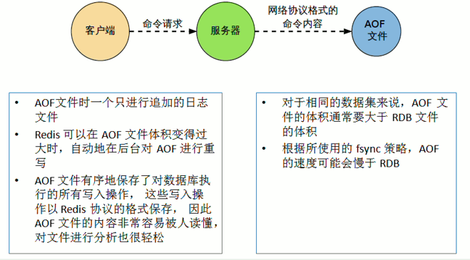 新奥2024正版资料大全，系统化说明解析_SP39.66.51