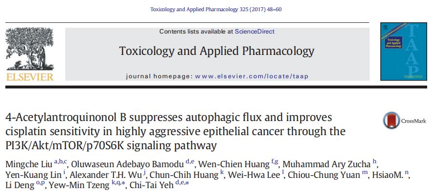 澳门最精准免费资料，科学分析解释定义_Nexus19.21.31