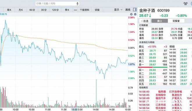 金种子酒股票最新消息