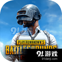 pubg国际版最新版官网下载