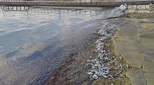 最准的一肖一码_日本多地水体污染严重