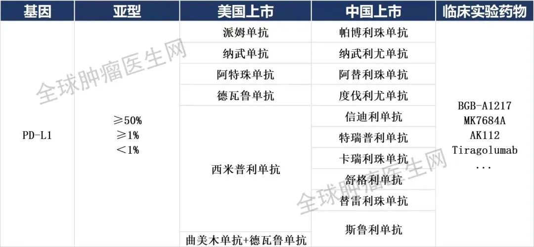 2024年王中王澳门免费大全_中国最新抗肿瘤新药