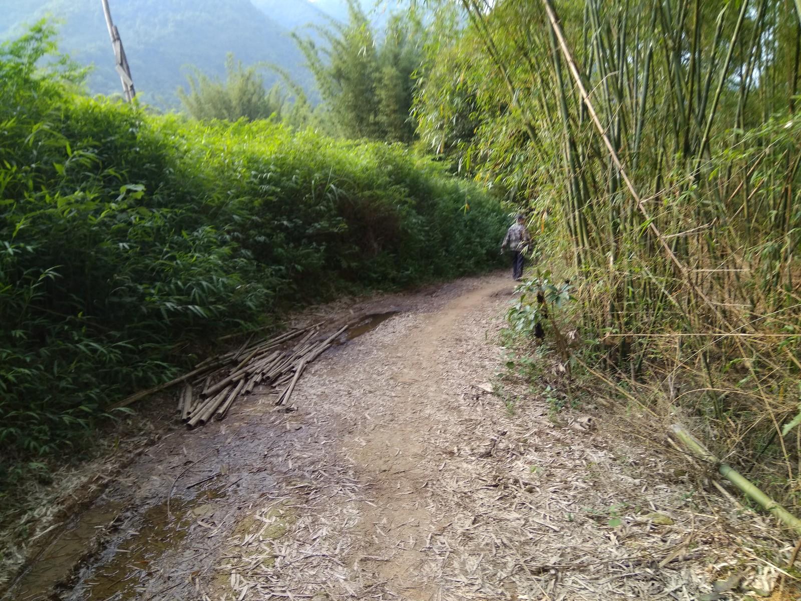 澳门免费最精准龙门客栈_外来媳妇躲山洞吃野果充饥？假的