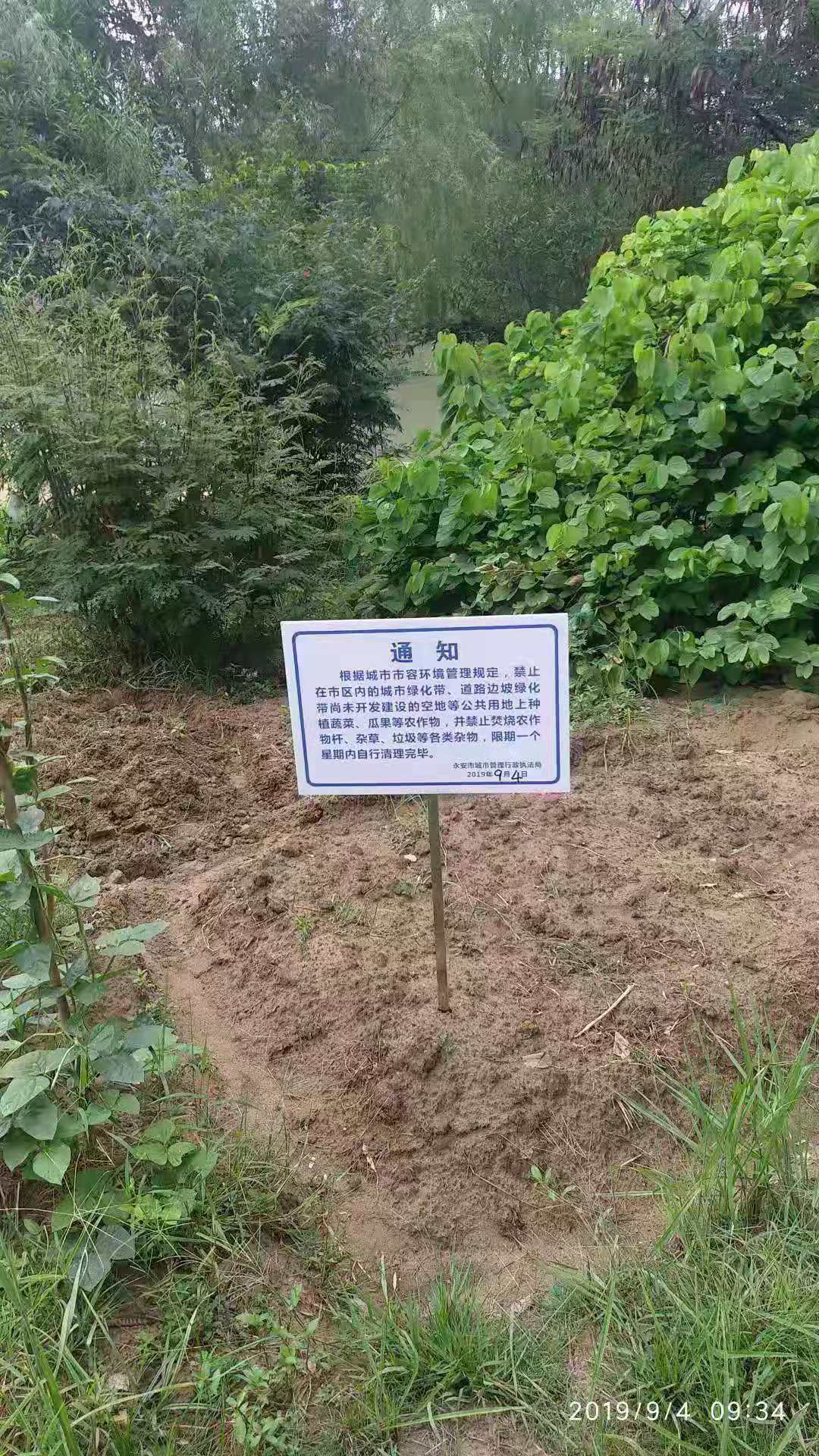 345999_菜地被插牌禁止栽种 街道办回应