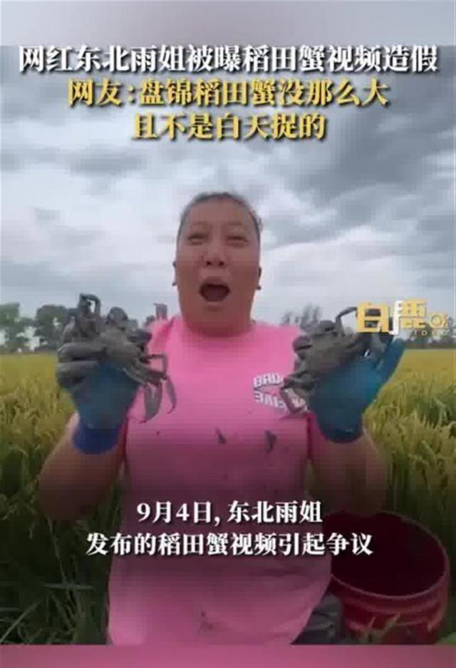 揭秘东北雨姐虚假宣传背后的神秘高科技产品，虚假宣传与现实体验的惊人落差