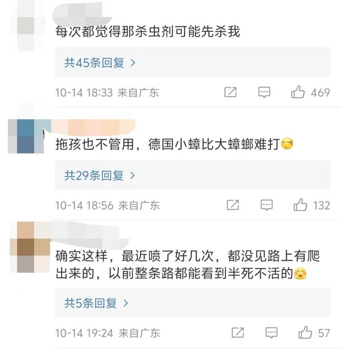 广东蟑螂进化