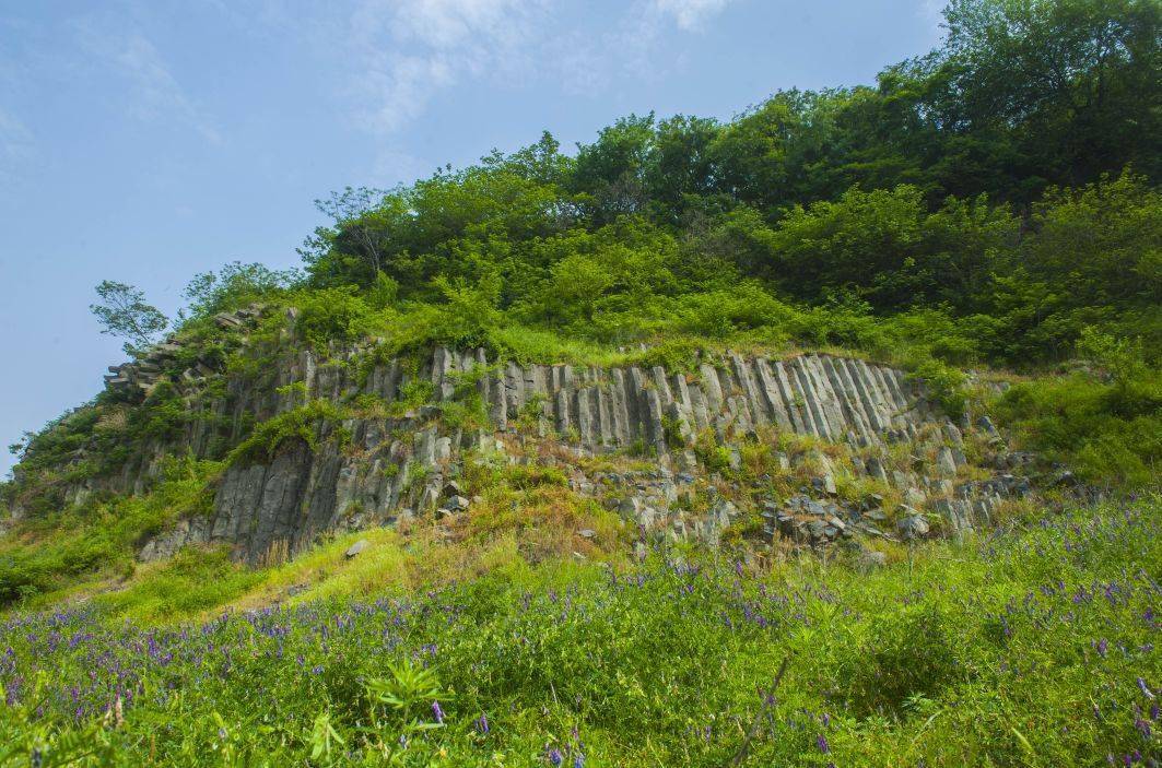 黄河湿地滥伐