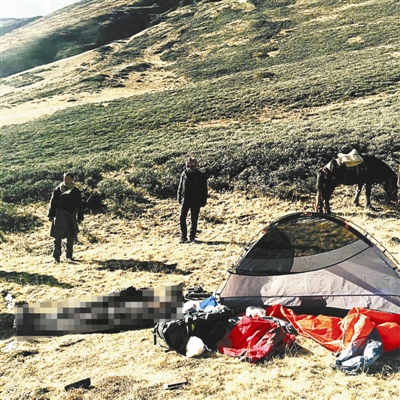 秦岭徒步旅行中的惊魂遭遇，安全问题引发关注与探讨