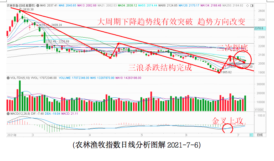 公募鏖战指数基金，小巷深处的投资宝藏探索