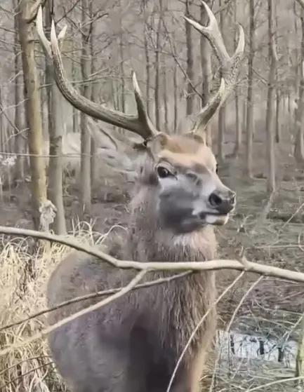 智能追踪器