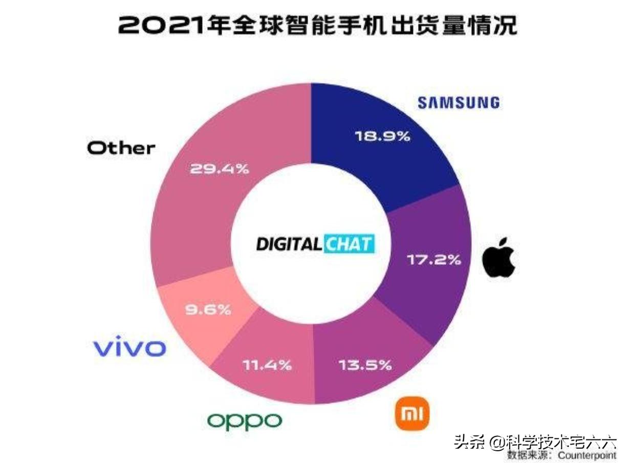 应对策略与备选方案探讨