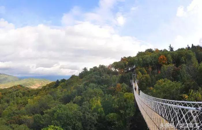 锅盔叔叔妻子重病住院，人生挑战与前行呼唤