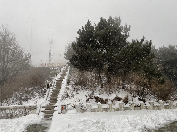 雪花纷飞美景