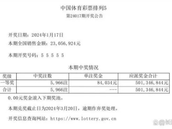 “2024澳门六开奖结果揭晓，详尽解析及视频版-ZDS818.23”