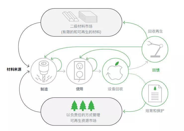 最新机器人揭秘，小巷中的隐藏宝藏