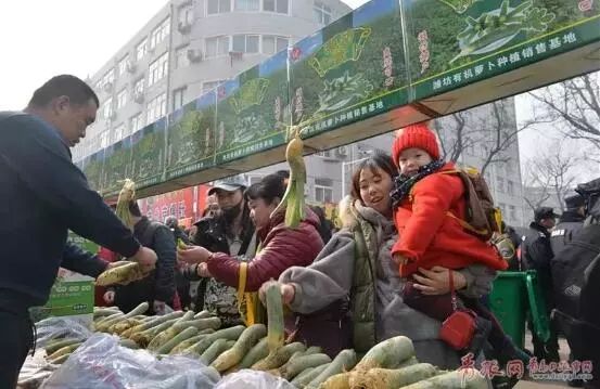 山东青岛疫情最新动态与日常小确幸