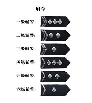 公安改革最新动态更新，最新公安改革消息综述