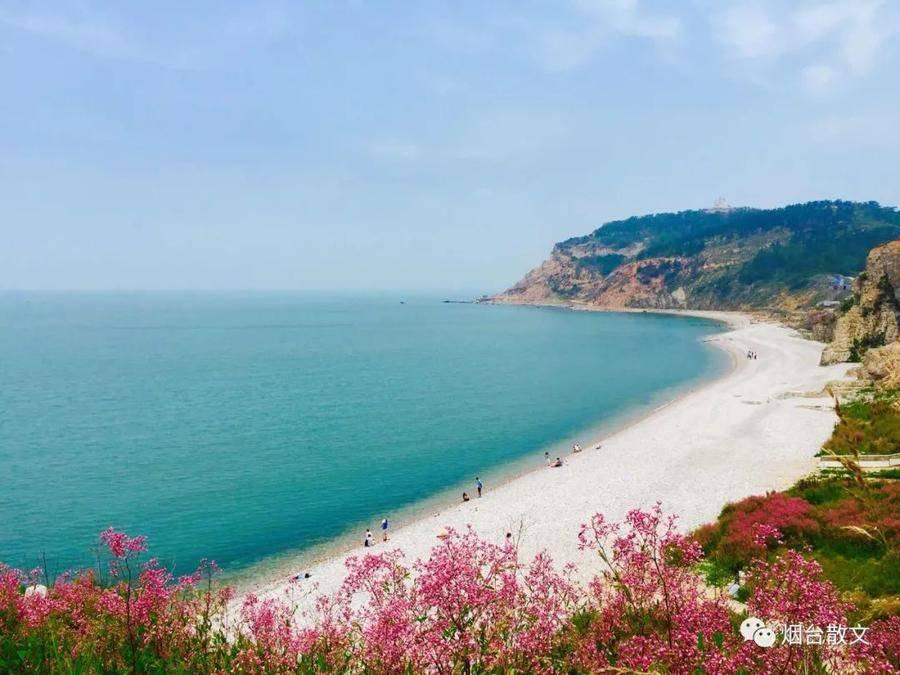 最新手游榜，自然美景的奇妙探索之旅，心灵平静之旅启程