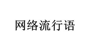 最新流行语浪潮，演变与影响全解析