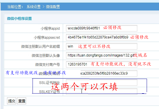 QQ最新代码使用指南详解