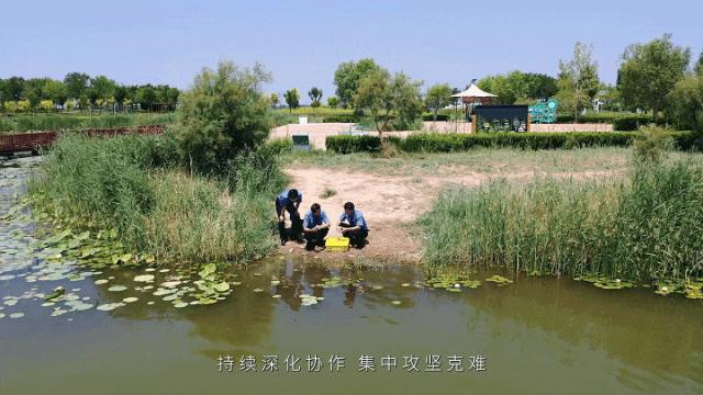 衡水最新案件深度论述