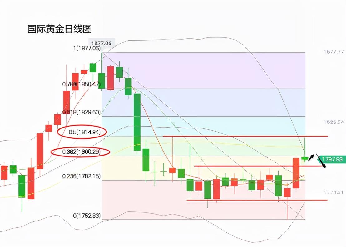 中国经济四季度有望反弹，专家观点解析