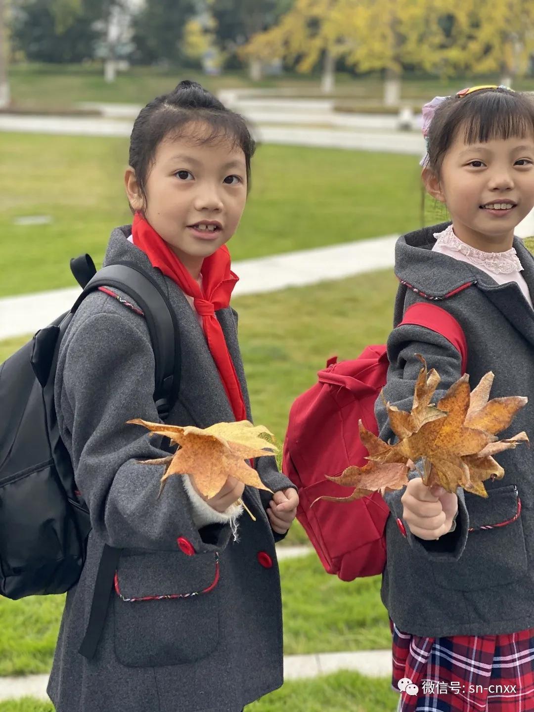 赏秋游热潮来袭，秋季旅游热度飙升