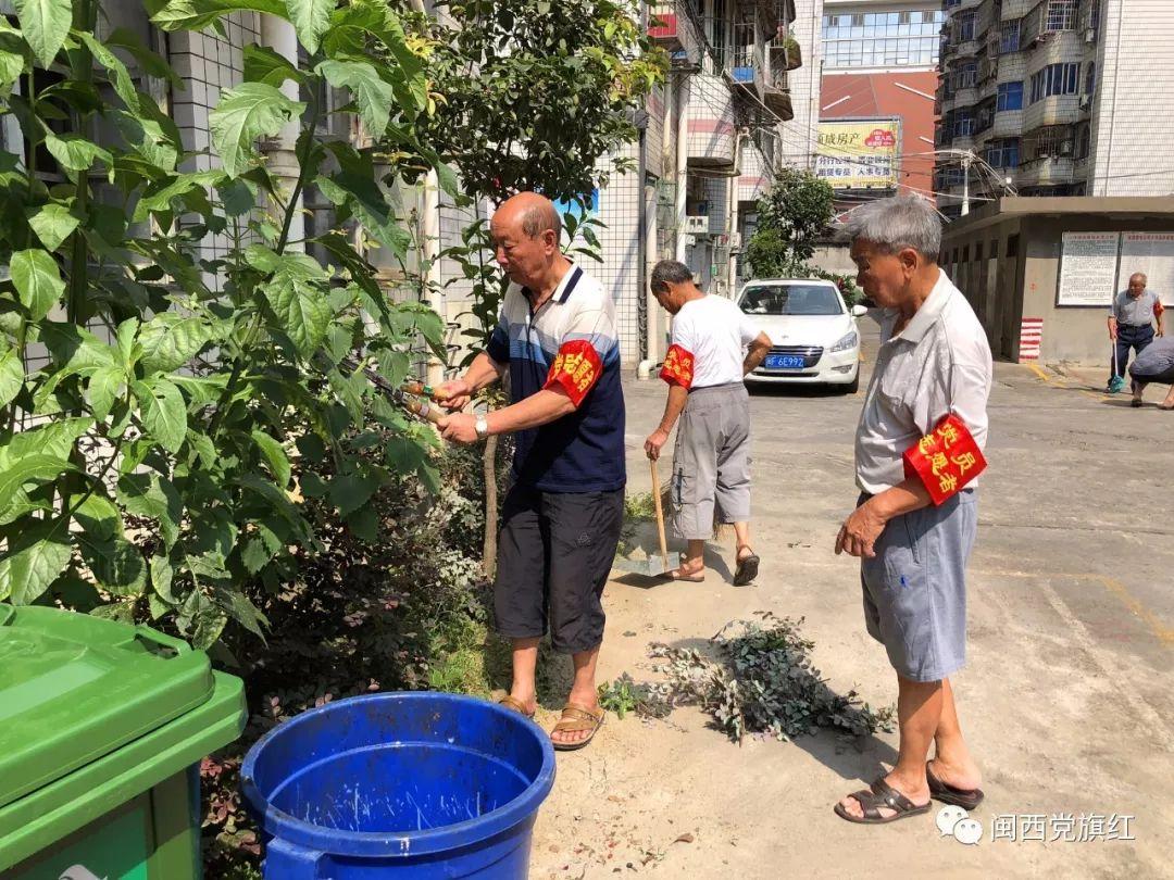 街道办回应菜地被插牌禁止栽种，背后的秘密与回应揭秘