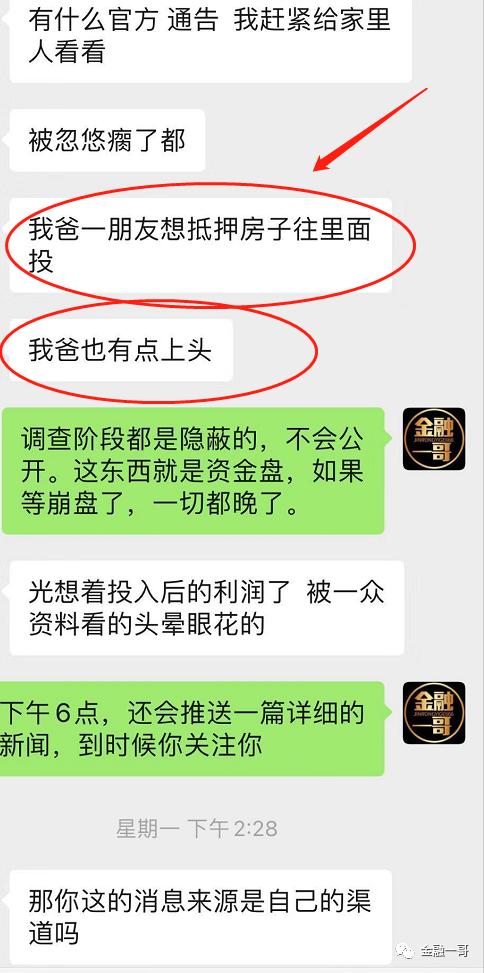 TR外汇最新动态，自然美景中的探索之旅