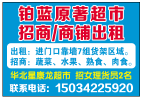 晨鸿信息最新招聘，多元视角的人才招募与全面考量