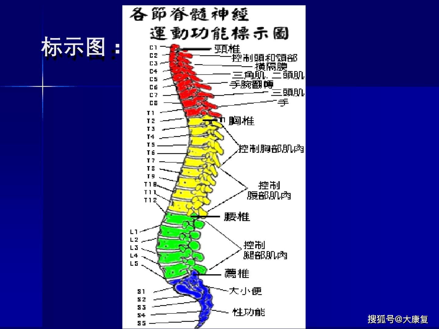 脊髓损伤最新突破，治疗与康复步骤指南