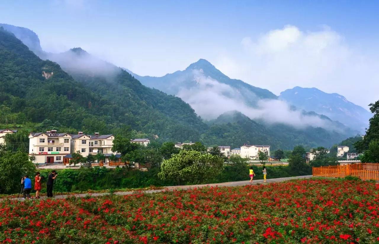 黑山县最新事件，自然美景的探索之旅