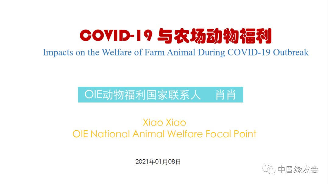 北京疫情最新动态与时代背景下的挑战与应对策略