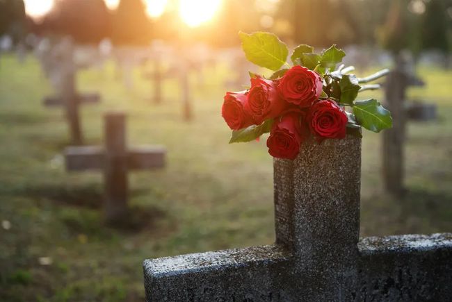 美新冠死亡人数更新，自然美景之旅寻求内心平和宁静