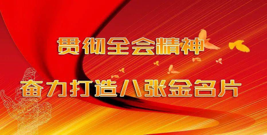 时代背景下的深度探索，最新全国社会治理重点解析