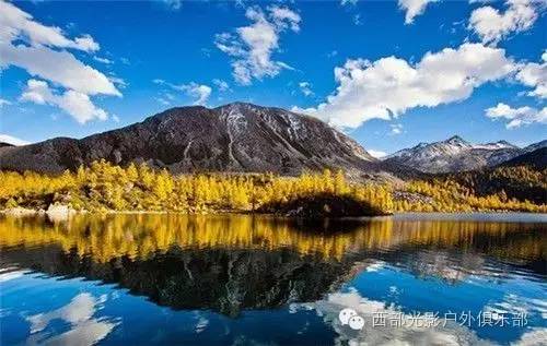 特朗普新冠最新动态，自然之旅寻求内心平和与宁静
