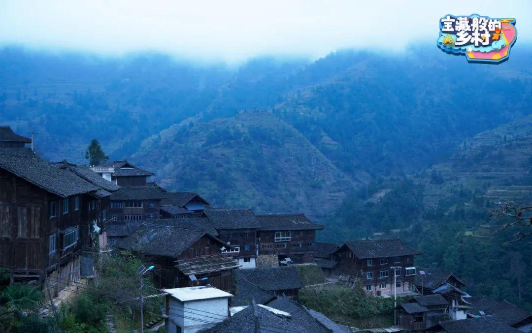 孔雪儿最新动态，拥抱自然，探寻内心桃花源