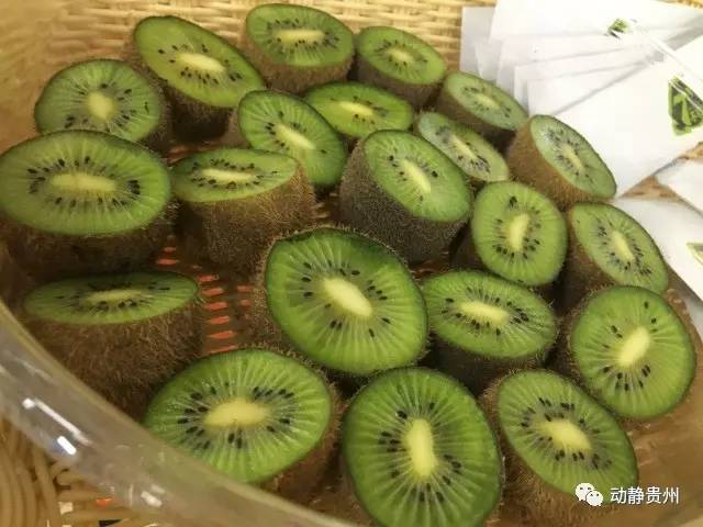 猕猴桃最新事件掀起热潮！🥝引发广泛关注。