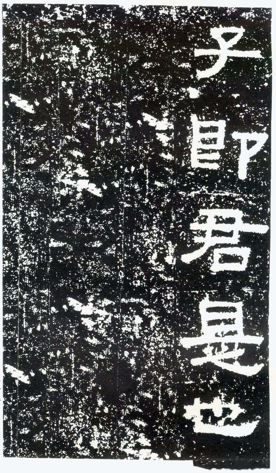 股票最新资讯解读，从初学者到进阶用户的实用指南