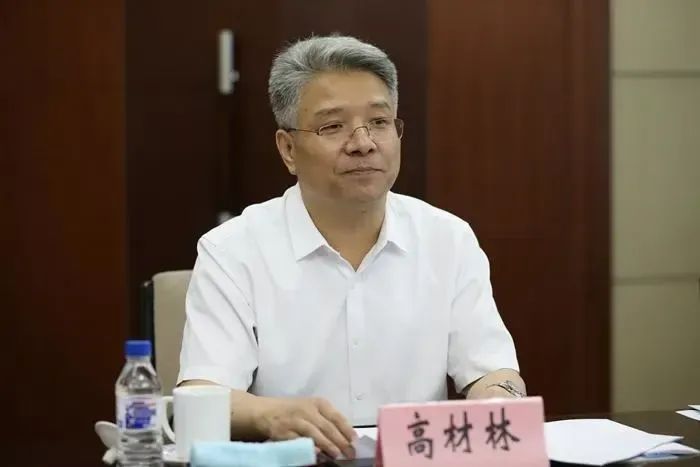 高材林最新动态与林中小趣事揭秘