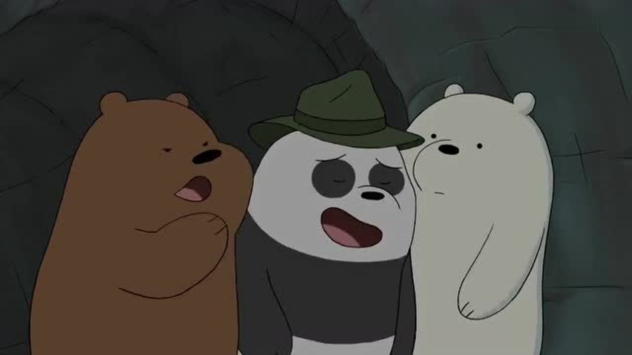 三只裸熊最新日常，熊洞中的欢乐时光