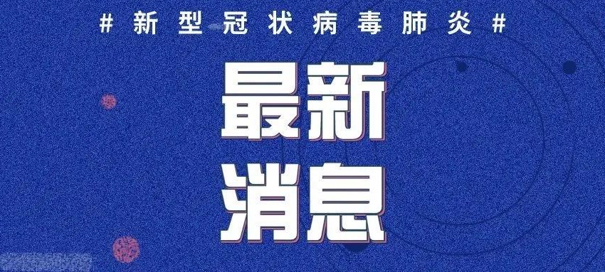 新性肺炎最新疫情动态，实时更新与关注