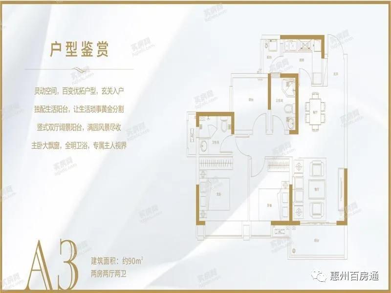 合康最新动态回顾与展望，回望历程，展望未来