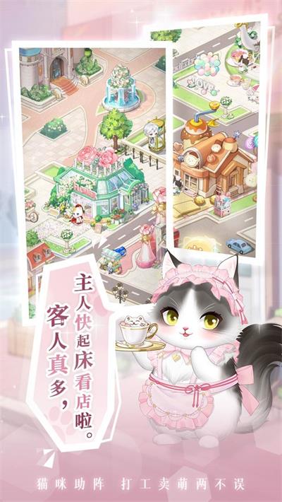 糖猫最新款式，小巷中的甜蜜探索之旅