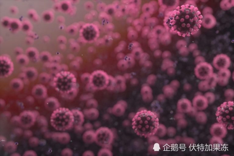 新管状病毒最新症状，小巷深处的独特发现揭秘